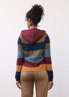 Back view of multicolored hoodie sweater showing the striped pattern and hood by French Dressing Jeans (FDJ)